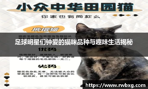 必一运动